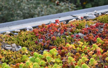 the cost of Wormshill green roof installation