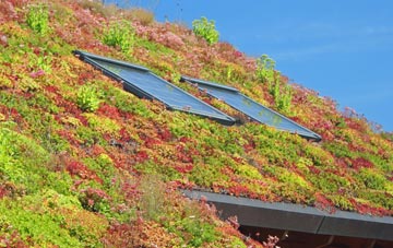 Wormshill living roof systems