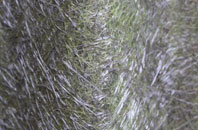 Wormshill fibreglass roof work